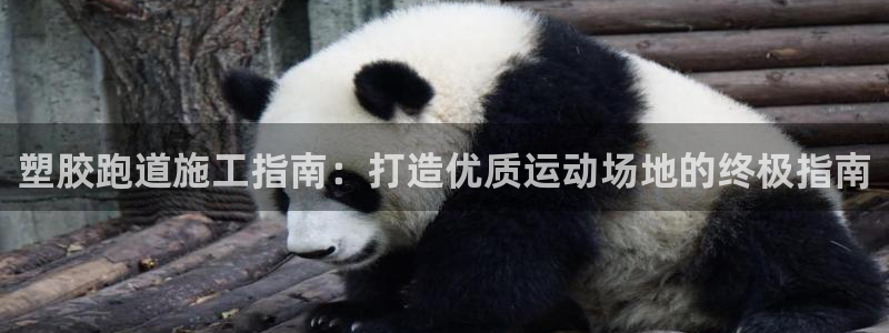 尊龙人生就是博一下下：塑胶跑道施工指南：打造优质运动
