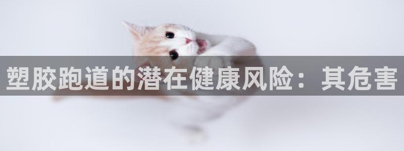 尊龙官网下载：塑胶跑道的潜在健康风险：其危害