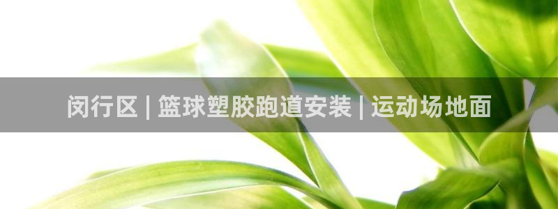 ag旗舰平台尊龙代言：闵行区 | 篮球塑胶跑道安装 | 运动场地面