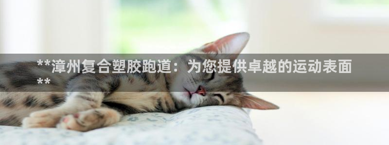 尊龙人生就是博下载：**漳州复合塑胶跑道：为您提供卓