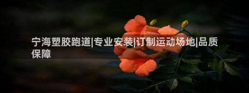 尊龙凯时百家乐手机下载：宁海塑胶跑道|专业安装|订制