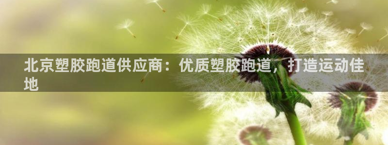 z6com尊龙凯时：北京塑胶跑道供应商：优质塑胶跑道