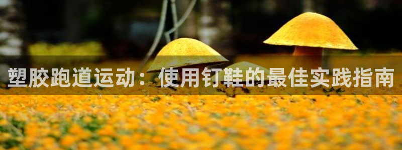 尊龙ag旗舰厅手机版：塑胶跑道运动：使用钉鞋的最佳实践指南