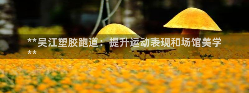 凯时国际app登录：**吴江塑胶跑道：提升运动表现和场馆美学
**