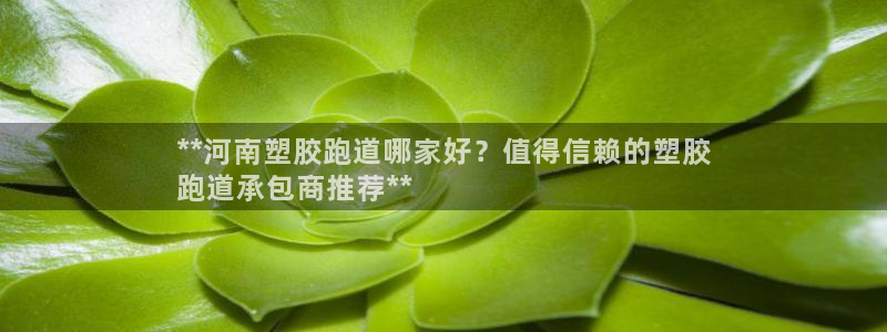 凯时国际最新：**河南塑胶跑道哪家好？值得信赖的塑胶
跑道承包商推荐**