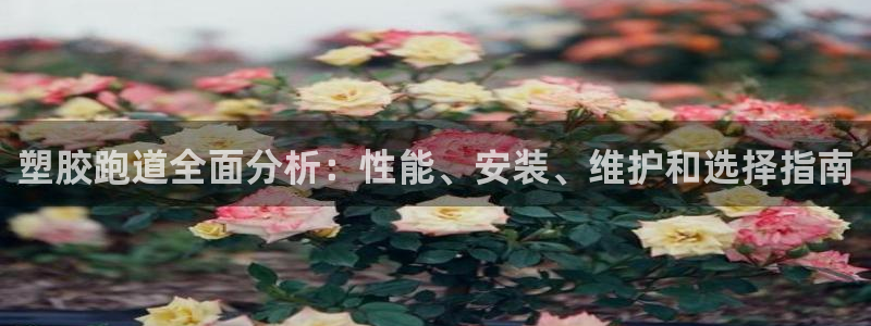 尊龙d88官网去来就送38：塑胶跑道全面分析：性能、