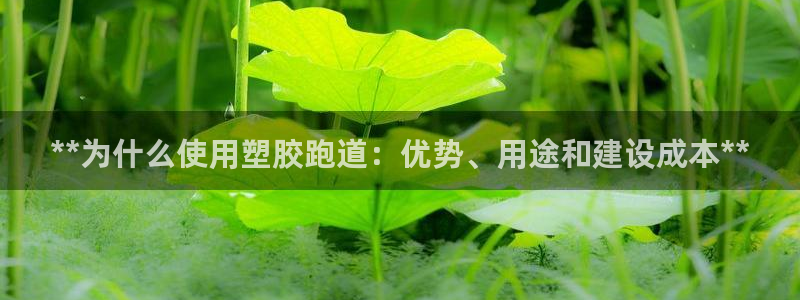 尊龙凯时的企业文化：**为什么使用塑胶跑道：优势、用