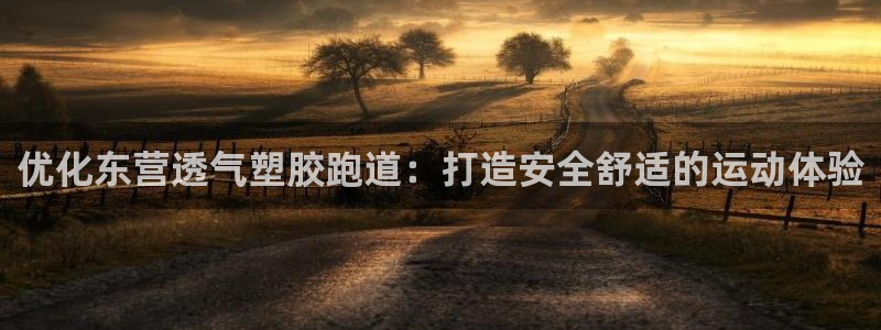 尊龙官网入口：优化东营透气塑胶跑道：打造安全舒适的运动体验