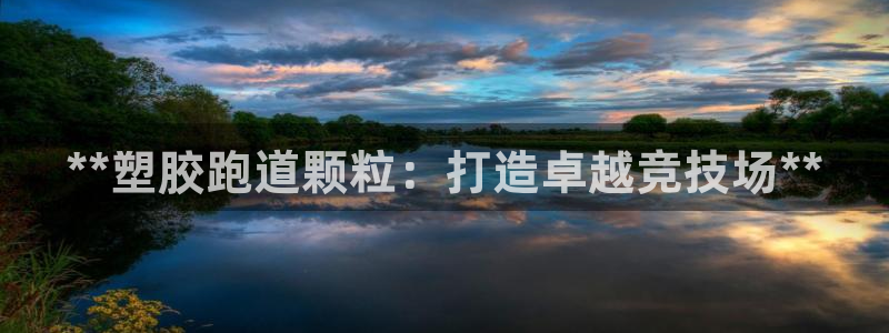 尊龙凯时老板是谁：**塑胶跑道颗粒：打造卓越竞技场**