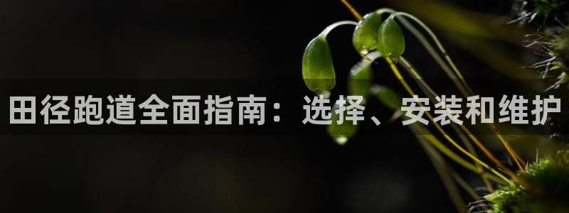 尊龙凯时取款24小时不到账：田径跑道全面指南：选择、