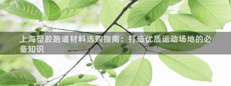 尊龙集团有限公司地址：上海塑胶跑道材料选购指南：打造