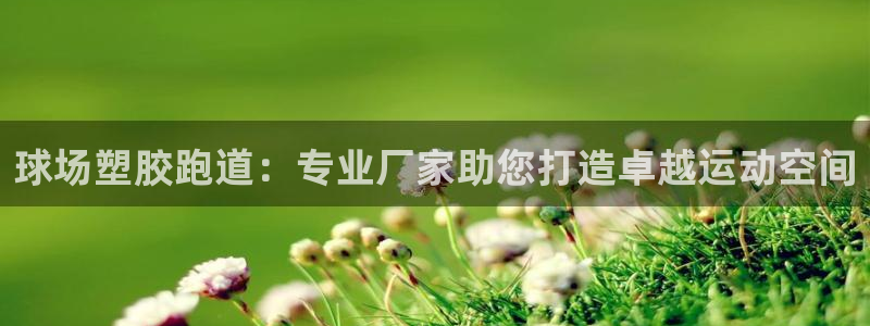 尊龙游戏app官方网站：球场塑胶跑道：专业厂家助您打造卓越运动空间