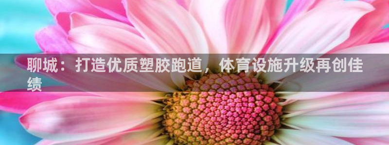 尊龙凯时能提现吗：聊城：打造优质塑胶跑道，体育设施升级再创佳
绩