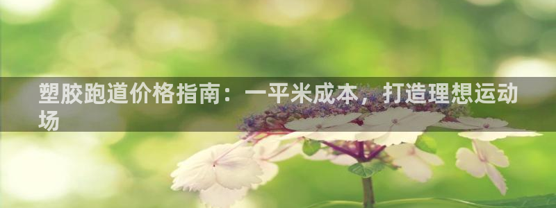 AG尊龙注册在线游戏：塑胶跑道价格指南：一平米成本，打造理想运动
场