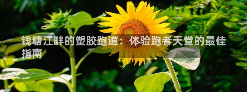 尊龙人生就是博d88 - Z6尊龙官方网站：钱塘江畔