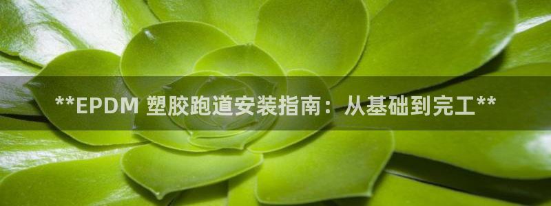 尊龙凯时取款不成功：**EPDM 塑胶跑道安装指南：