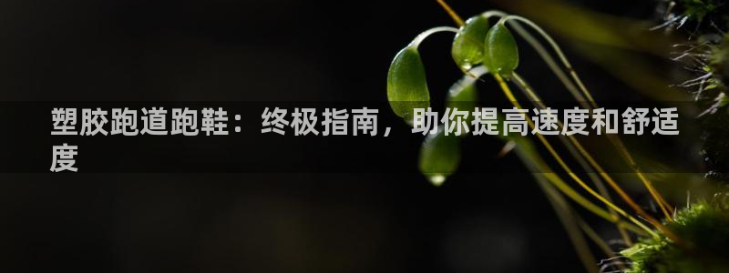 凯时a88：塑胶跑道跑鞋：终极指南，助你提高速度和舒