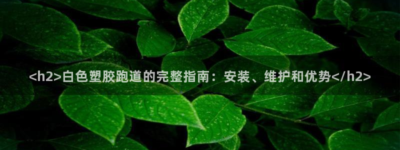 尊龙科技：<h2>白色塑胶跑道的完整指南：安装、维护
