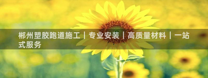 尊龙凯时app产品介绍：郴州塑胶跑道施工｜专业安装｜