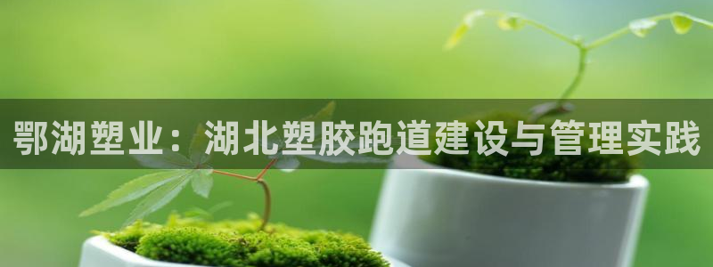 尊龙凯时 - 人生就是搏有假吗