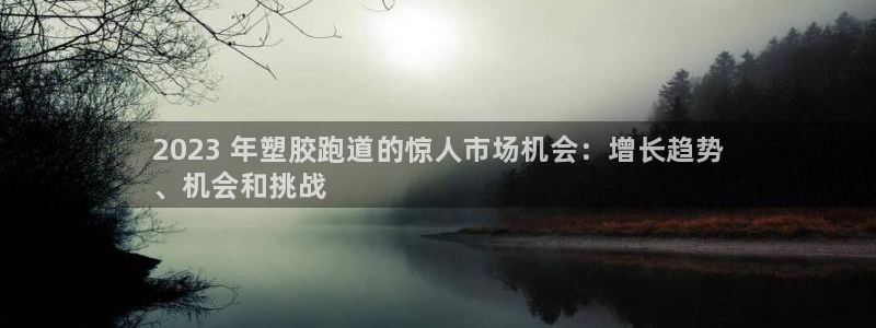 尊龙人生就是博登录：2023 年塑胶跑道的惊人市场机会：增长趋势
、机会和挑战