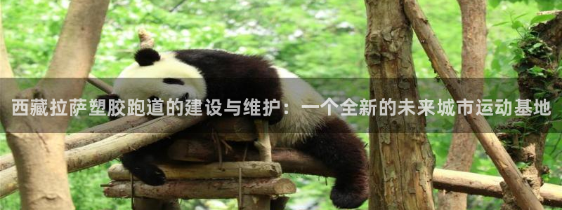 尊龙凯时几百万怎么下