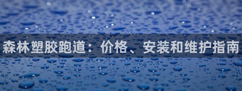 尊龙最新版：森林塑胶跑道：价格、安装和维护指南
