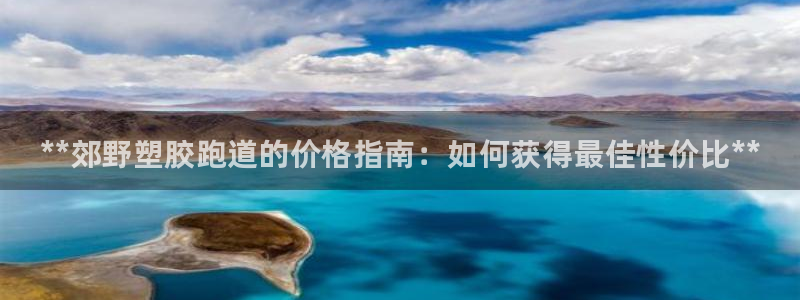 尊龙d88手机版下载：**郊野塑胶跑道的价格指南：如何获得最