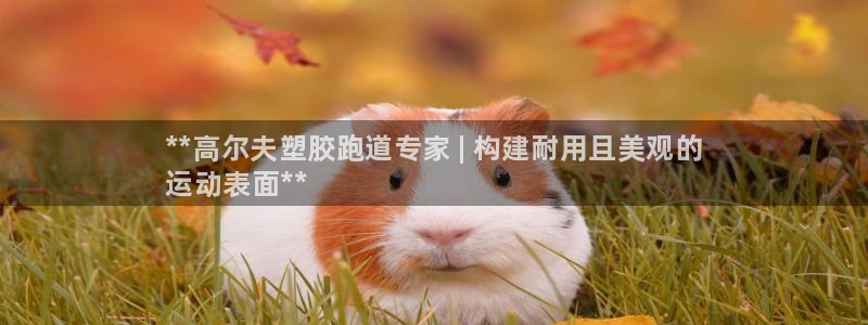 尊龙凯时-人生就是博中国官网首页：**高尔夫塑胶跑道专家 |