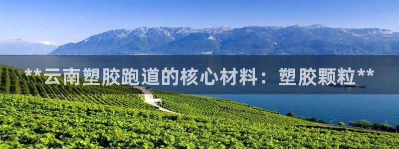 尊龙游戏官方网：**云南塑胶跑道的核心材料：塑胶颗粒**