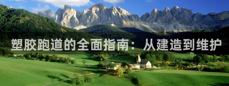 尊龙凯时人生就是搏客户： 塑胶跑道的全面指南：从建造