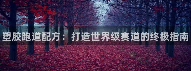 尊龙,人生就是博!登录国际：塑胶跑道配方：打造世界级赛道的终