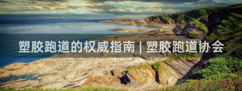 尊龙官方身高：塑胶跑道的权威指南 | 塑胶跑道协会