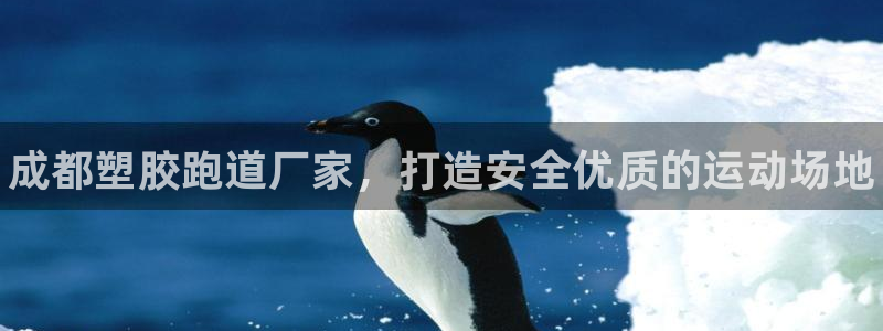 尊龙凯时公司官网：成都塑胶跑道厂家，打造安全优质的运动场地