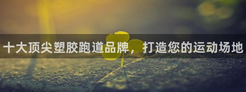 尊龙2020：十大顶尖塑胶跑道品牌，打造您的运动场地