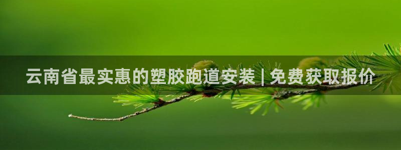 尊龙d88官网可靠送38元：云南省最实惠的塑胶跑道安装 | 免费获取报价