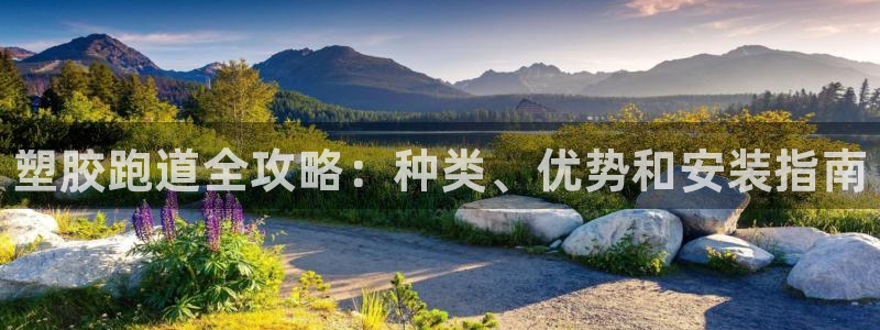 尊龙凯时出款：塑胶跑道全攻略：种类、优势和安装指南