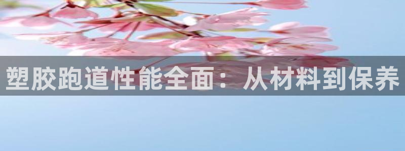 尊龙凯时城游戏官网：塑胶跑道性能全面：从材料到保养