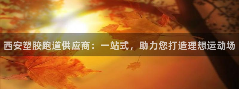 尊龙凯时登陆网址：西安塑胶跑道供应商：一站式，助力您打造理想
